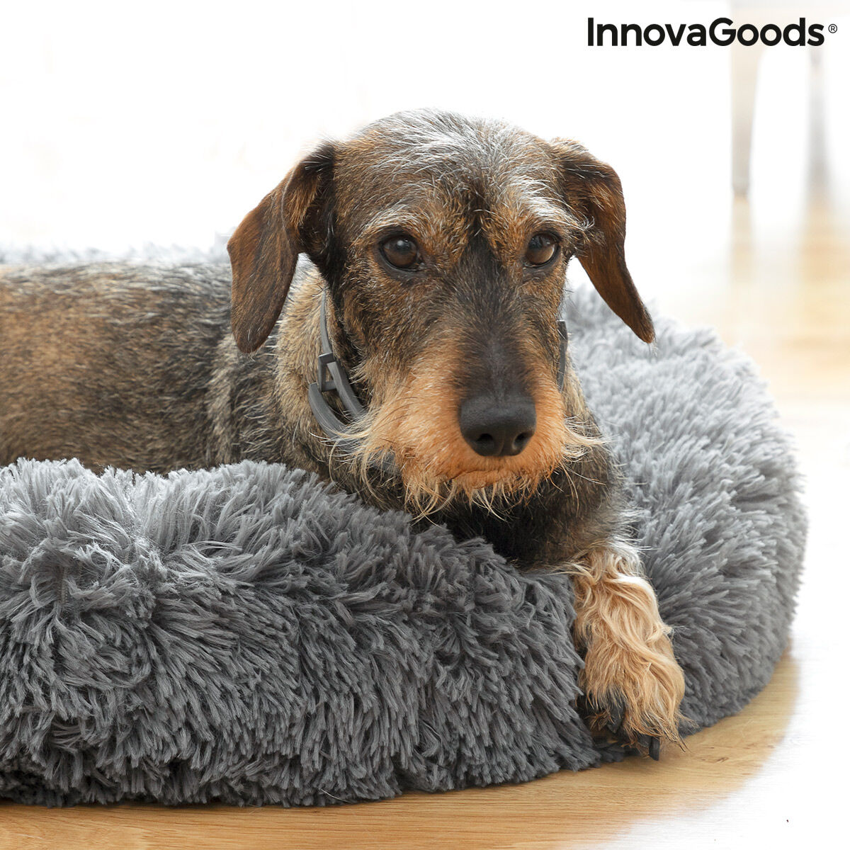 Cama antiestres Bepess con perro dentro